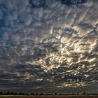 Cirrocumulus