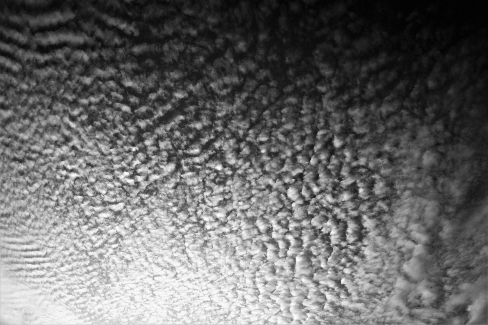 Cirrocumulus