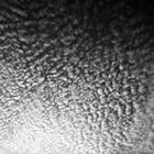 Cirrocumulus