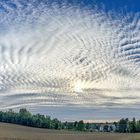 Cirrocumulus 