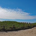 Cirrocumuluswolken über Wattenmeer