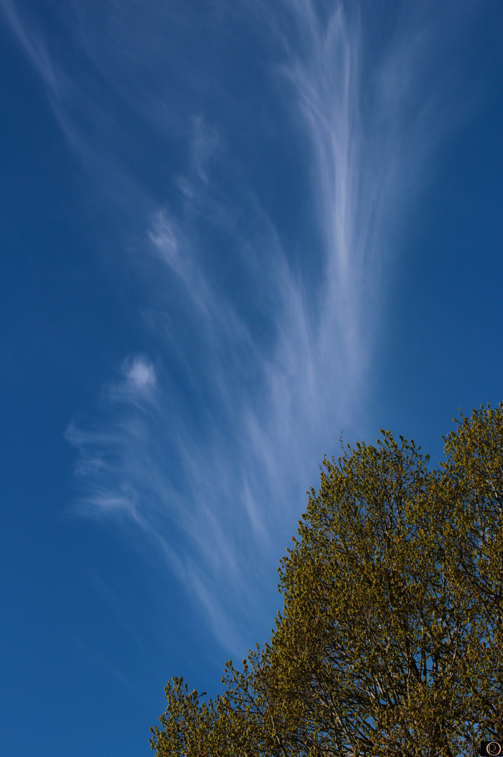 Cirrostratus Hürtgenwald