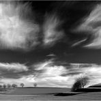 . . . Cirrus . . . 