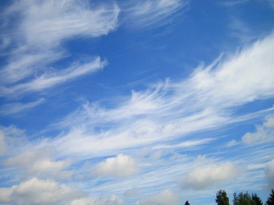 Cirrus-Wolken