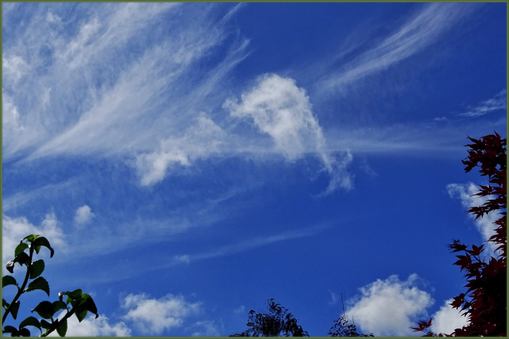 Cirrus Wolken