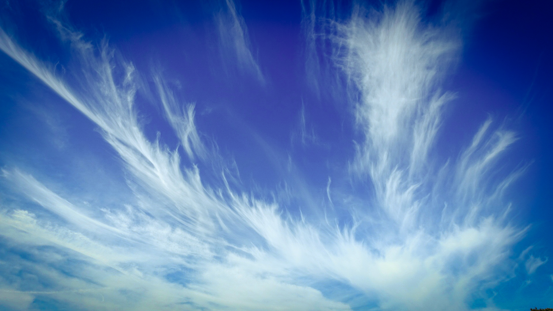 Cirrus-Wolken 