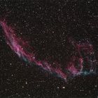 Cirrusnebel (östlicher Teil) - NGC6992/5
