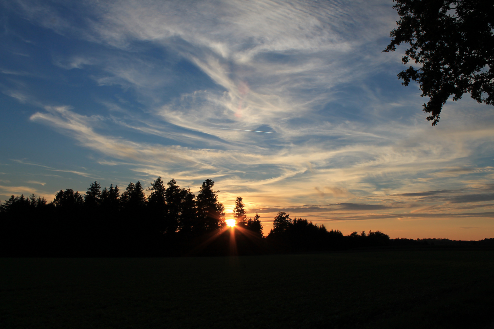 Cirruswolken am Abendhimmel