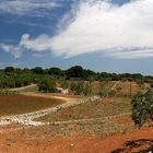 Cisternino Hinterland