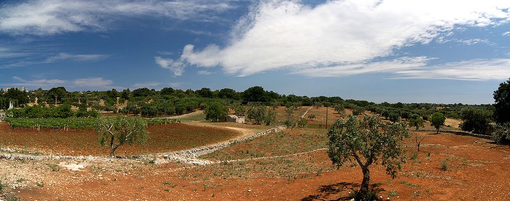 Cisternino Hinterland