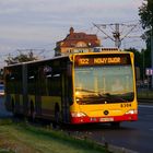 Citaro in der Abendsonne