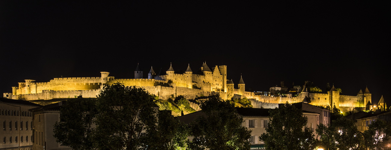 Cité Carcassonne