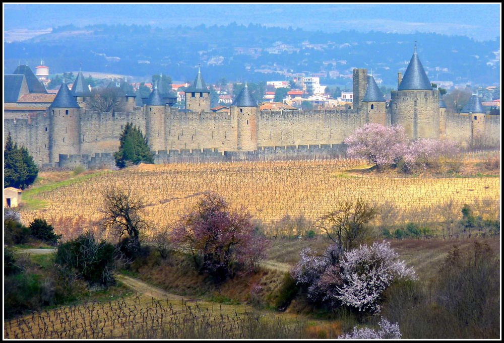 Cité de Carcassonne ,