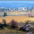 Cité de Carcassonne ,