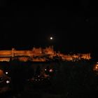 cité de carcassonne au clair de la lune