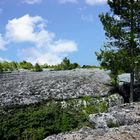 cité enchantée : la mer de pierre