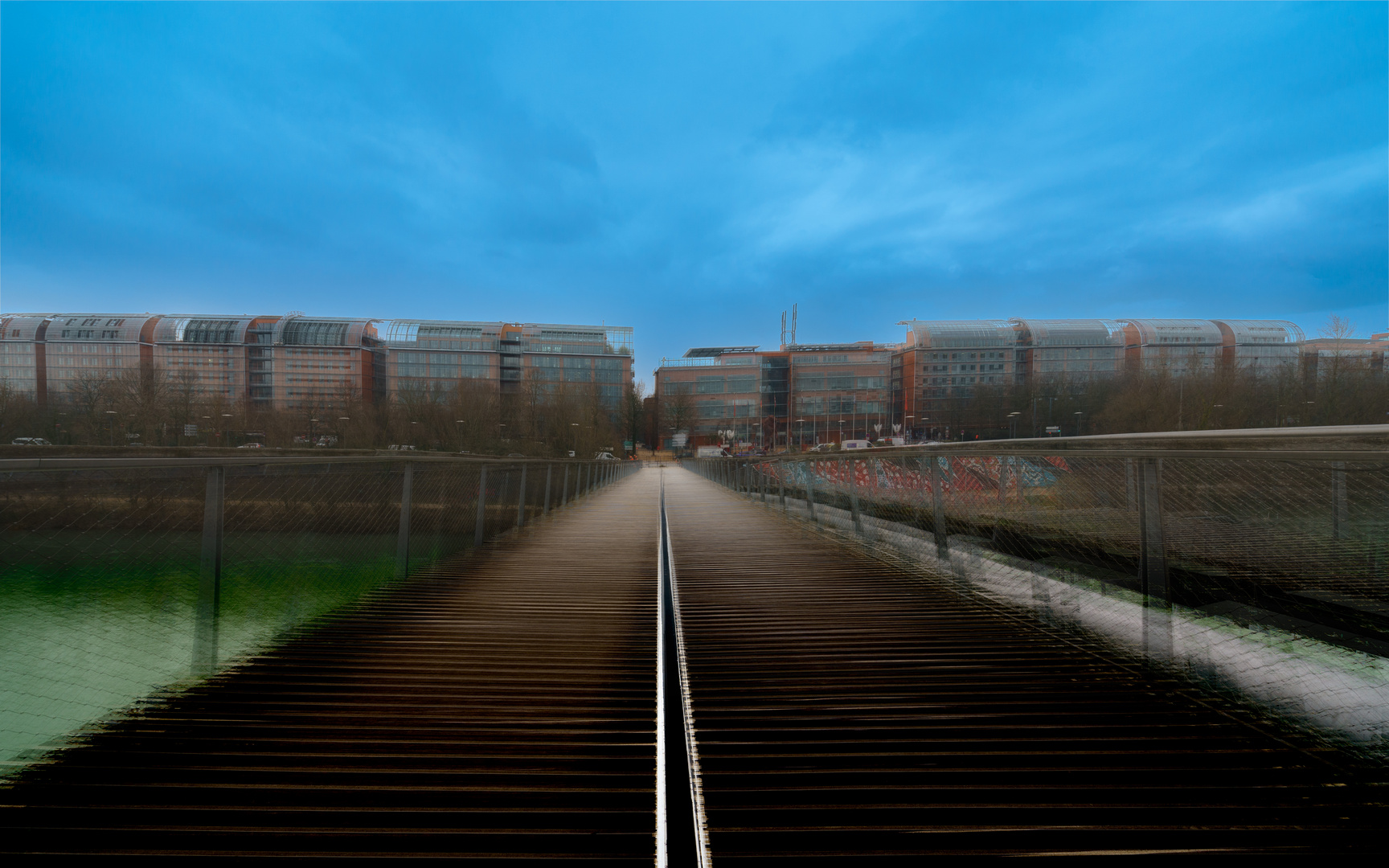 Cité internationale, Lyon