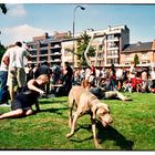 Citiparade in Gent