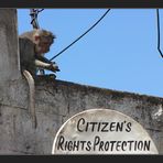 Citizen's Rights Protection