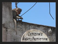 Citizen's Rights Protection