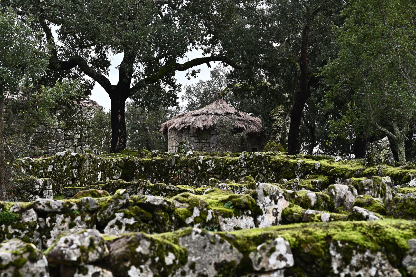 Citânia de Briteiros 