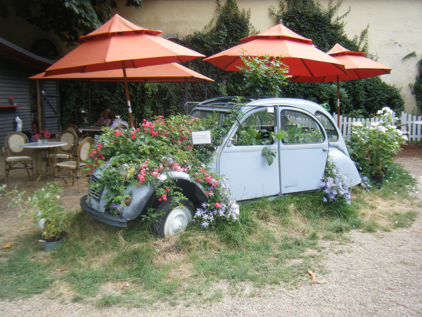 Citroen 2CV , Blumenkübel