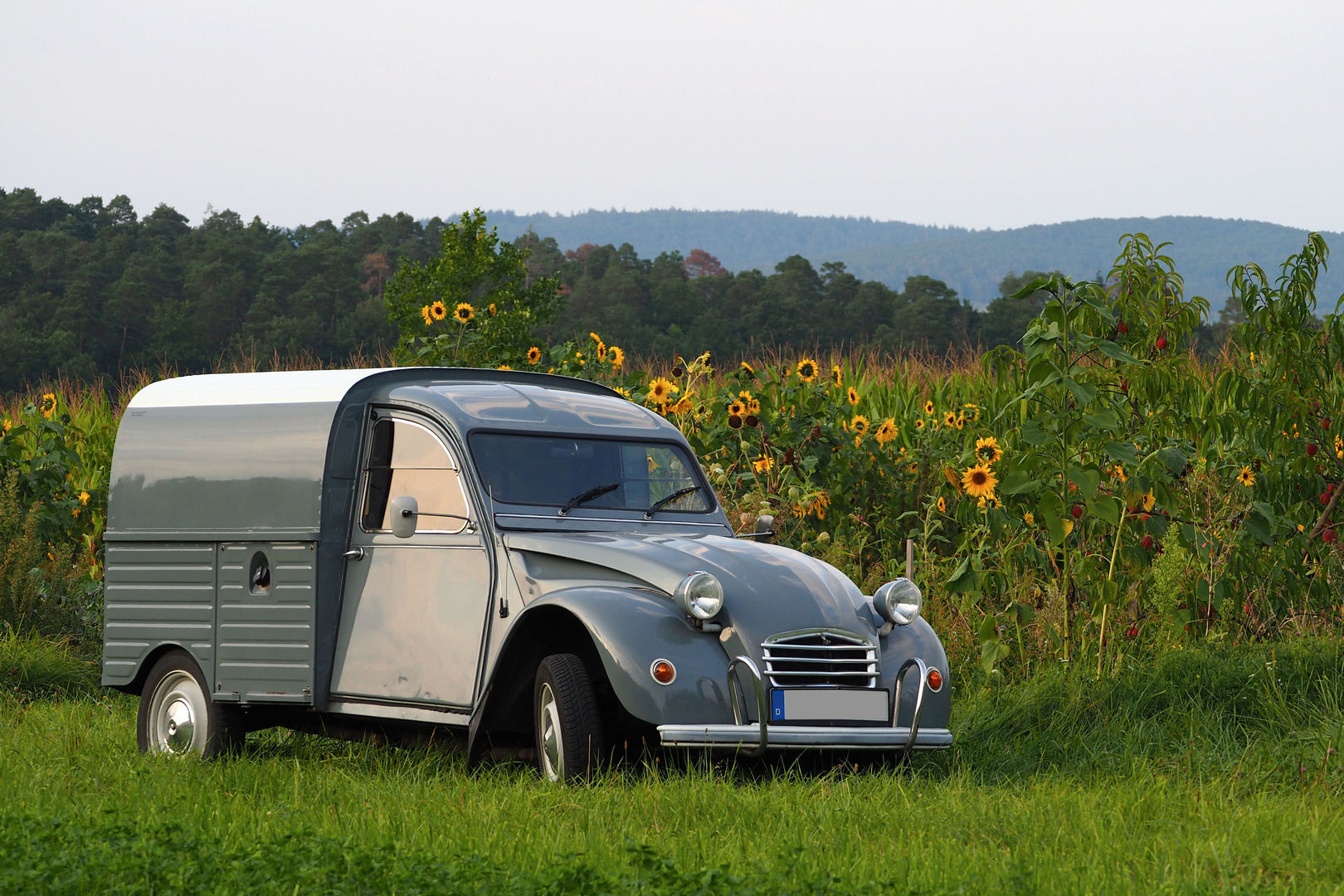 Citroen AK250