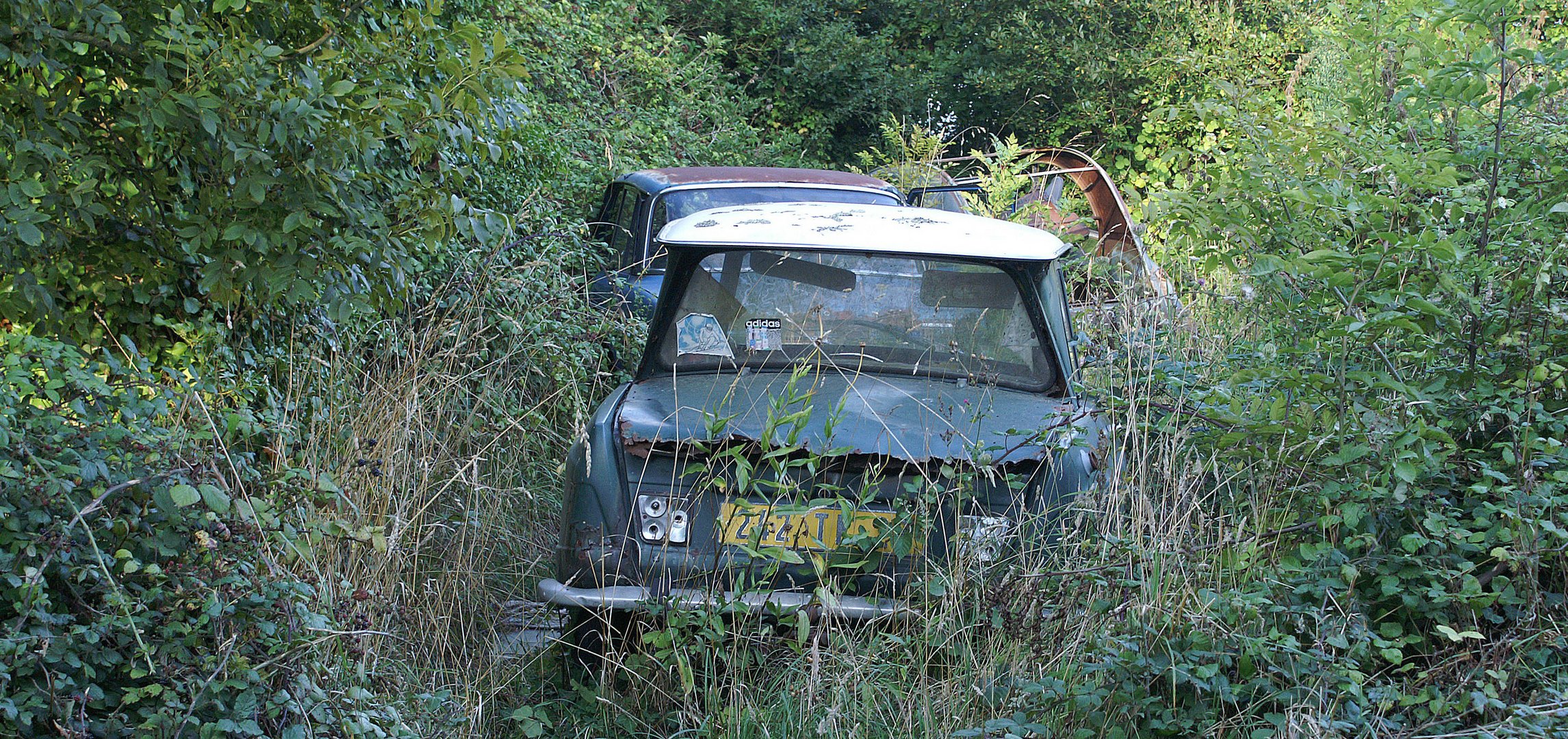 Citroen AMI 6