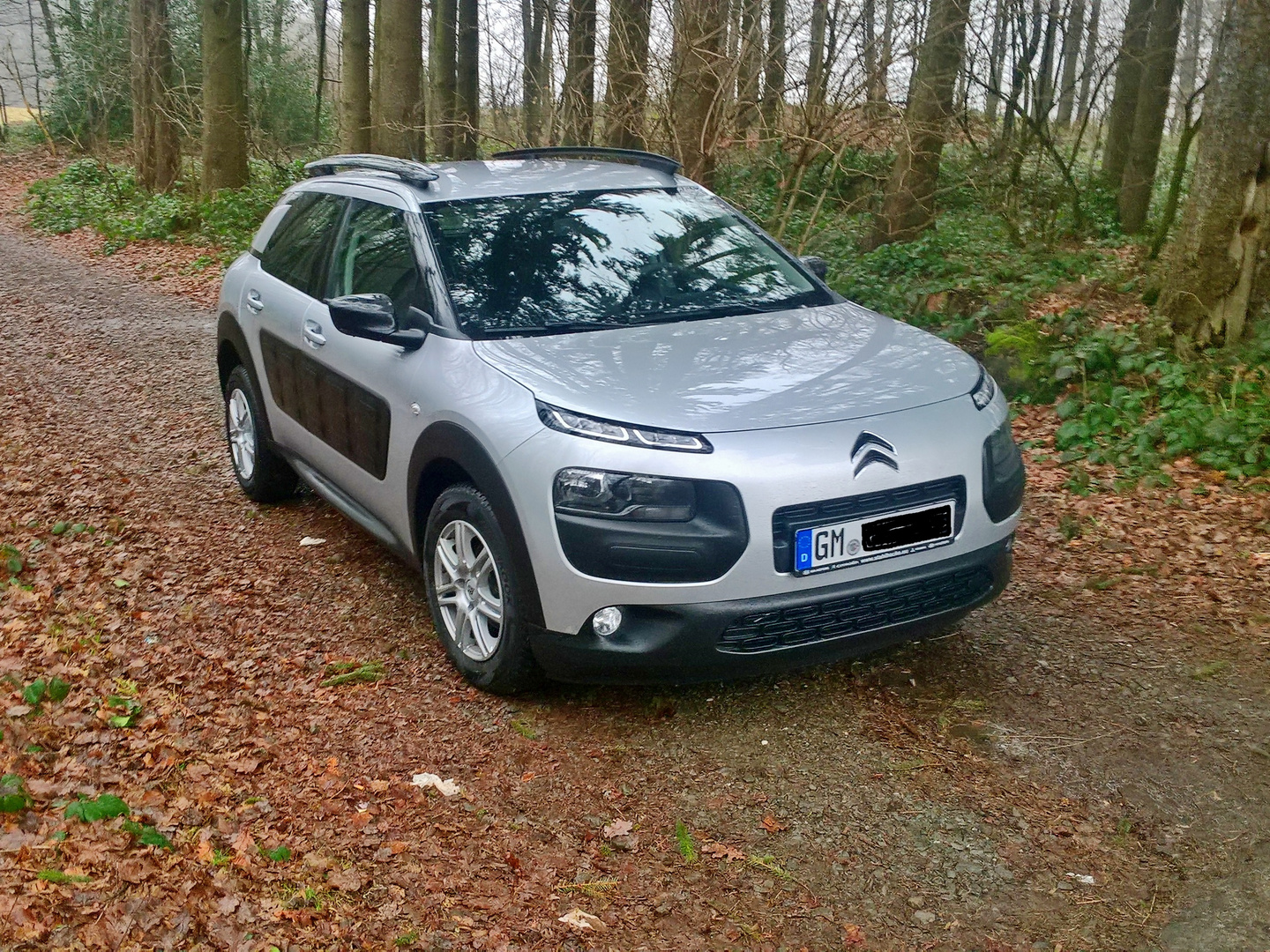 Citroën C4 Cactus