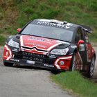 Citroen C4 WRC 