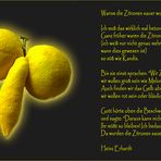 Citron Créateur de Nature