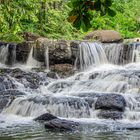 Citron Wasserfall Mauritius