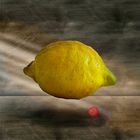 Citrone 2 