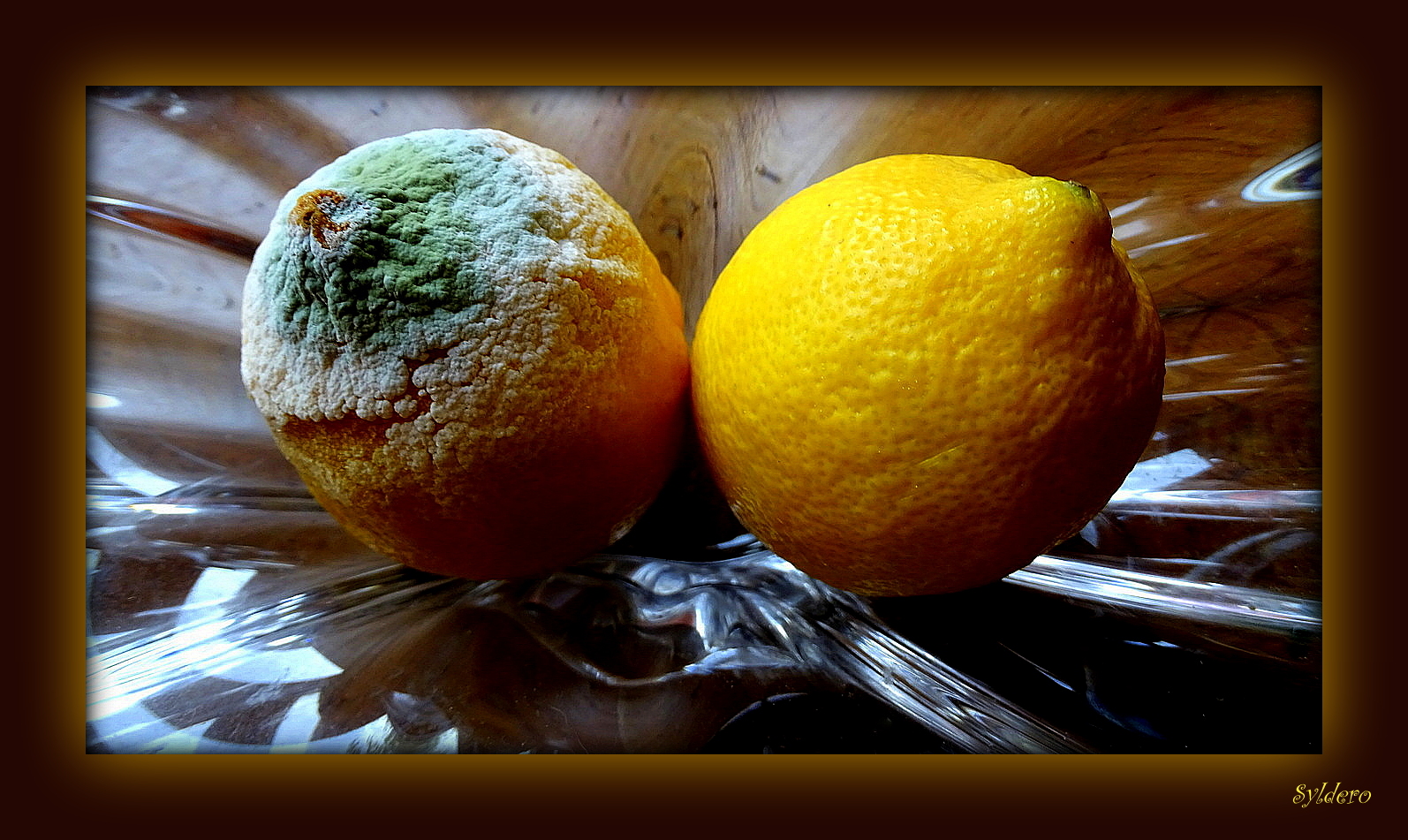 Citrons (suite)