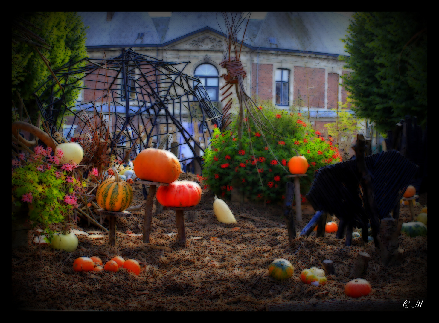 Citrouilles et compagnie