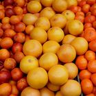 Citrus Fruit Colours, Naschmarkt, Wien / A