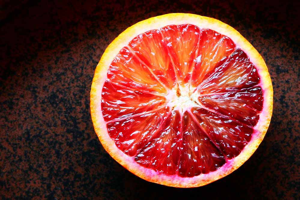 Citrus sinensis (L.) - Blutorange