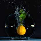 Citrus Splash 1