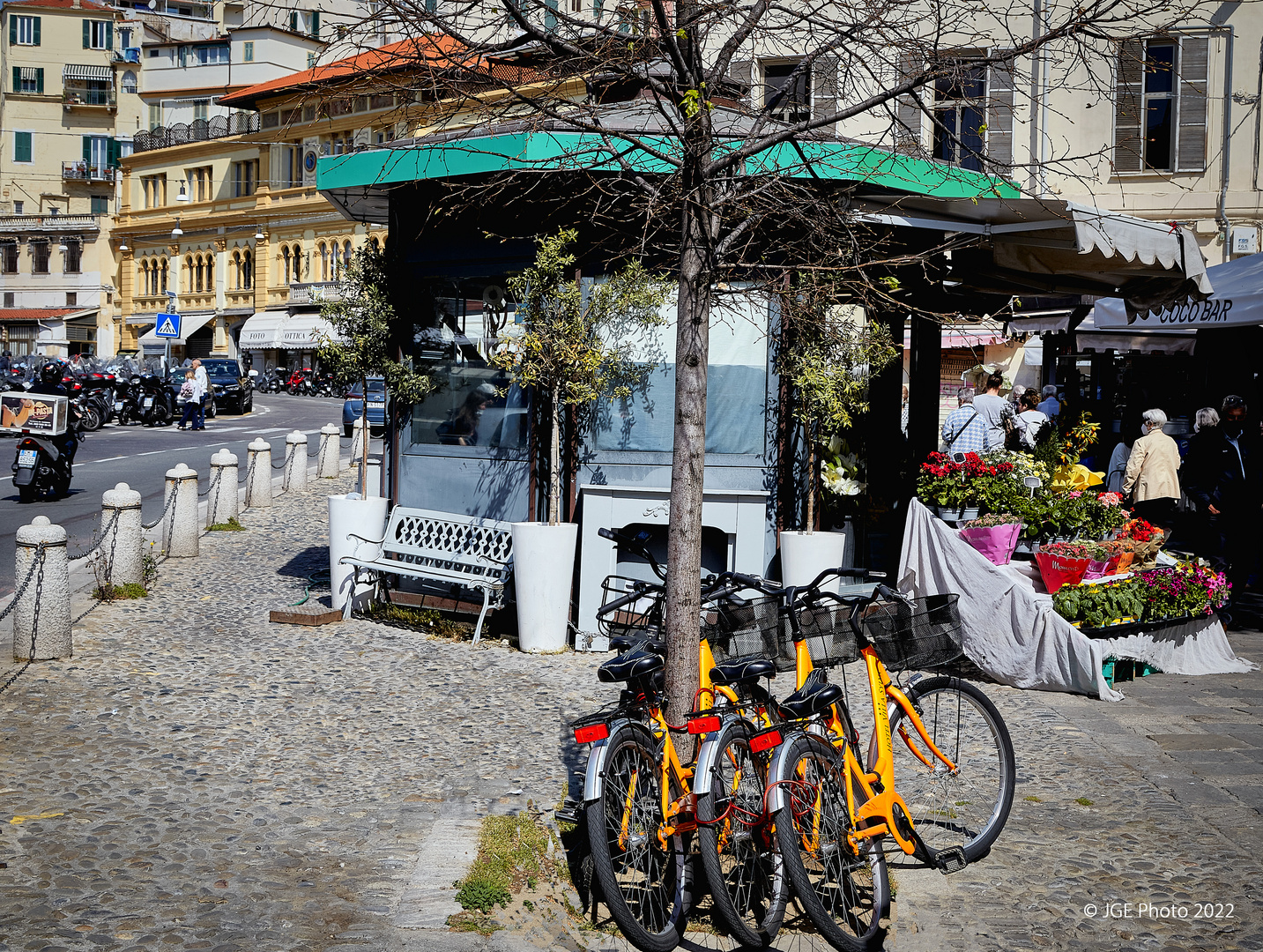 Città dei Fiori   Fiorimania