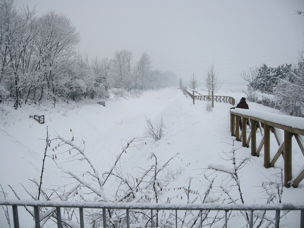 città in bianco