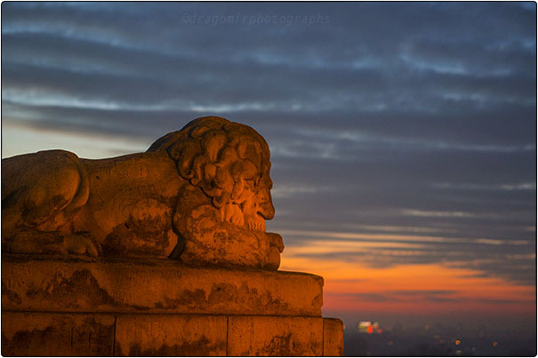 City Guard Belgrade