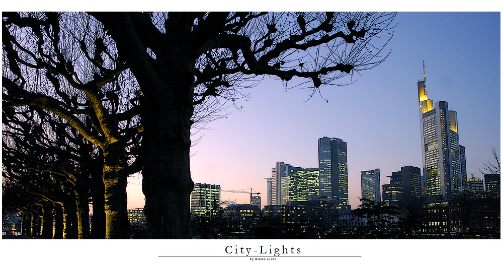 City-Lights