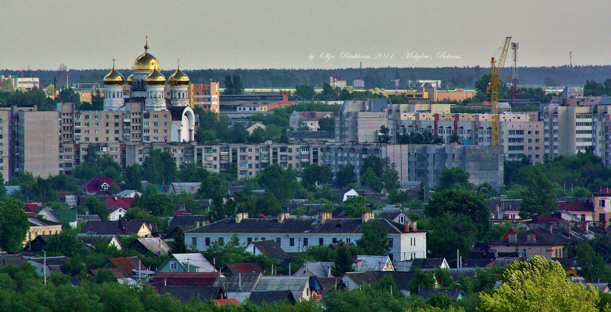 City ( Mohylew )