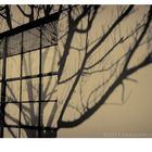 City Nature 5