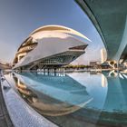 ... city of arts and sciences #2 ...