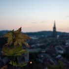 City of Bern