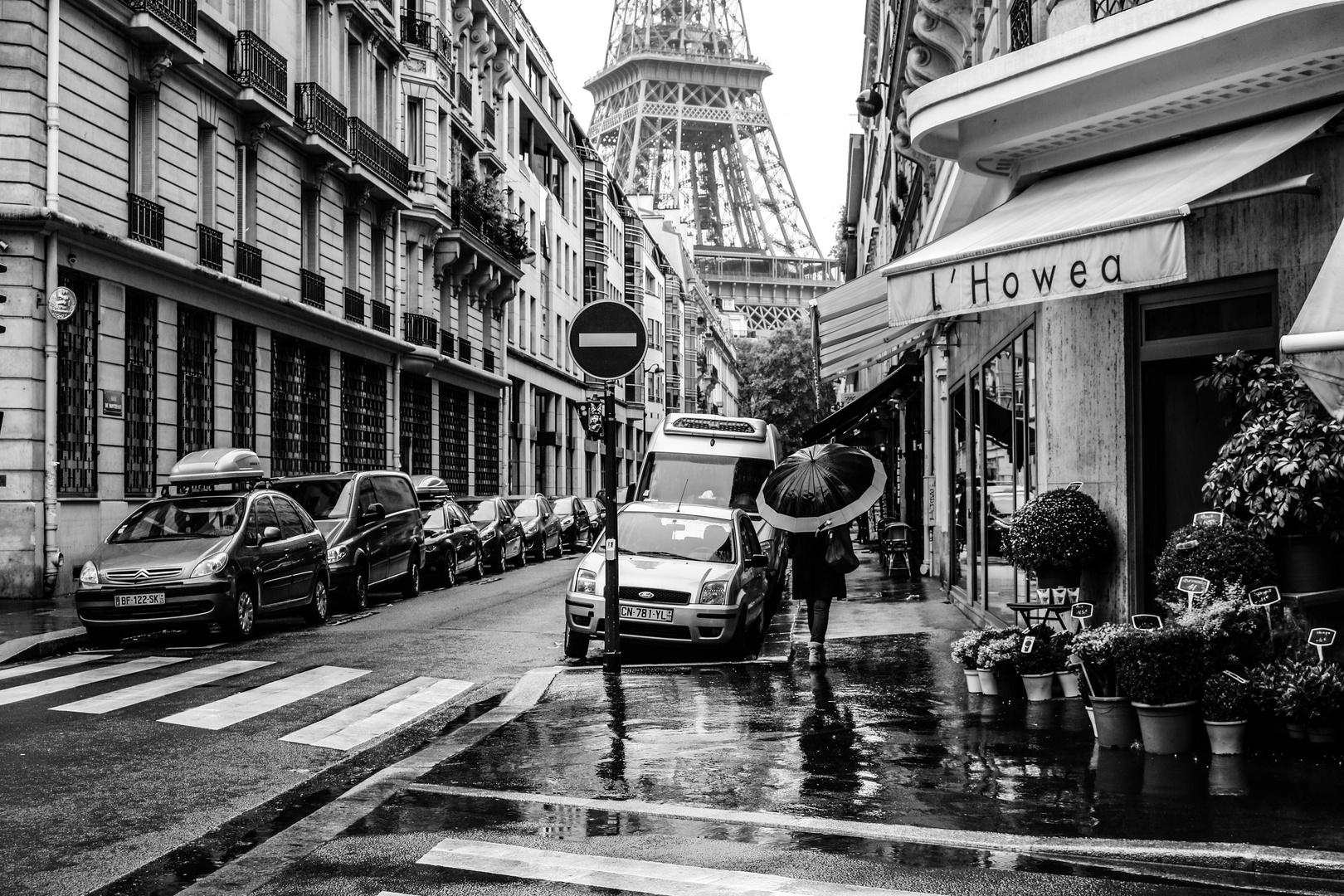 City of Love or City of Loneliness