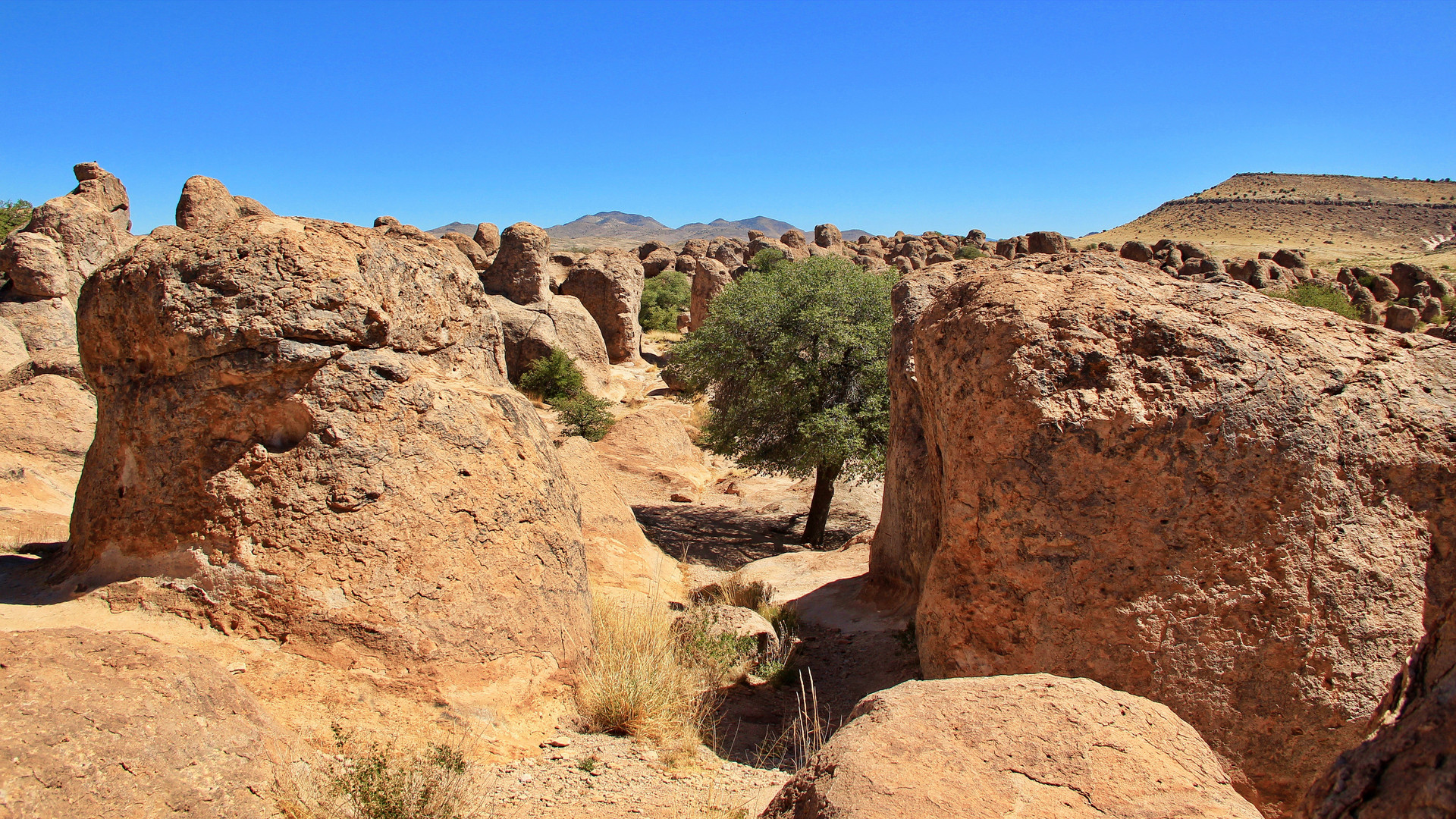 City of Rocks State Park 