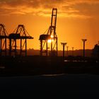 City of Sails - The Harbour of Auckland