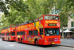 ..City Sightseeing..